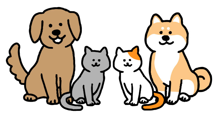 診療動物