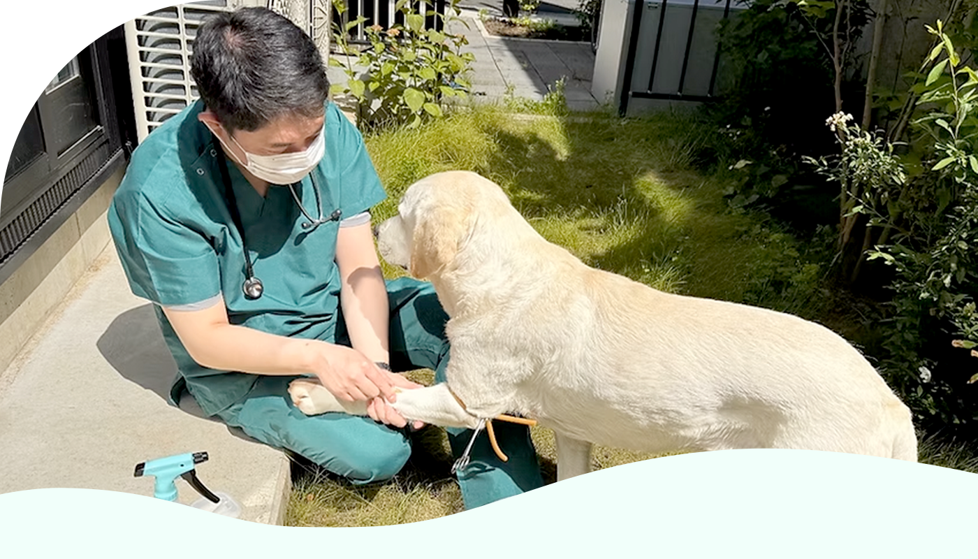 さかうえ動物病院
