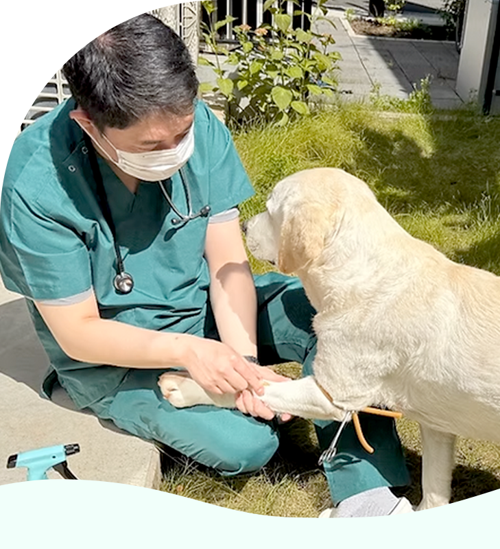 さかうえ動物病院