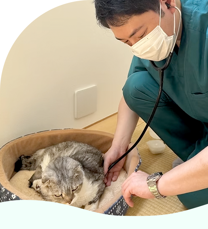 さかうえ動物病院