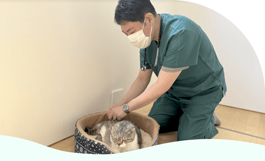 飼い主様との対話を大切に…動物病院に行けない様々なケースに対応します
